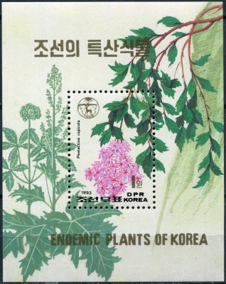 КНДР. 1993. Пентактина (Pentactina rupicola) (Почтовый блок. MNH OG)