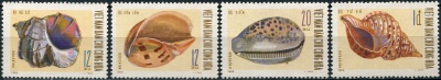 Вьетнам. 1969. Морские раковины (Серия. MNH OG)
