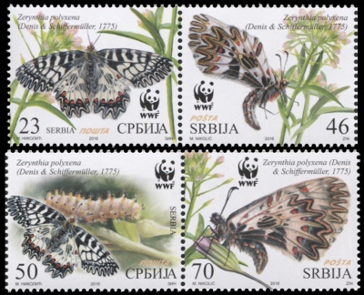 Сербия. 2016. Бабочка Зеринтия Поликсена (Серия. MNH OG)