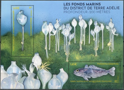 ФЮАТ. 2024. Морское дно Земли Адели (Почтовый блок. MNH OG)