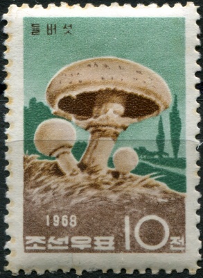 КНДР. 1968. Шампиньон (Psalliota bispora) (Почтовая марка. MNH OG)