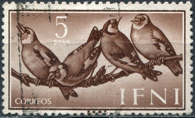 Ифни. 1960. Черноголовый щегол (Carduelis carduelis) (Почтовая марка. Used)