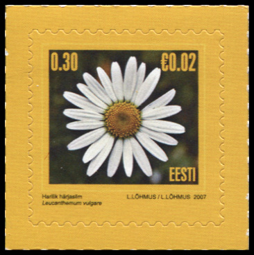 Эстония. 2007. Нивяник обыкновенный (Почтовая марка. MNH OG)