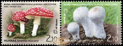 Босния и Герцеговина. 2010. Грибы (Сцепка. MNH OG)