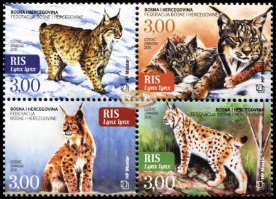 Босния и Герцеговина. 2011. Обыкновенная рысь [Lynx lynx] (Квартблок. MNH OG)