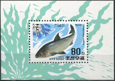 КНДР. 1996. Белый толстолобик (Hypophthalmichthys molitrix) (Почтовый блок. MNH OG)