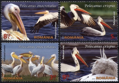 Румыния. 2015. Пеликаны (Серия. MNH OG)