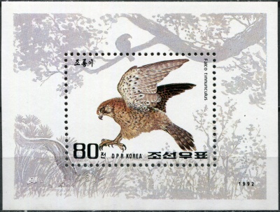 КНДР. 1992. Обыкновенная пустельга (Falco tinnunculus) (Почтовый блок. MNH OG)
