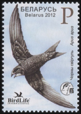 Беларусь. 2012. Черный стриж (Почтовая марка. MNH OG)