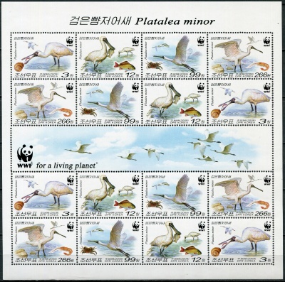 КНДР. 2009. Малая колпица (Platalea minor) (Малый лист. MNH OG)