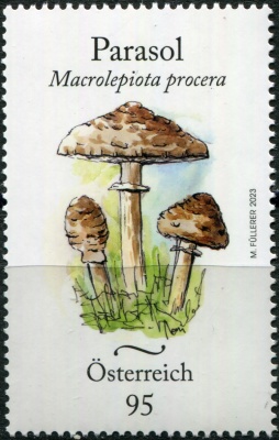Австрия. 2023. Гриб-зонтик (Macrolepiota procera) (Почтовая марка. MNH OG)