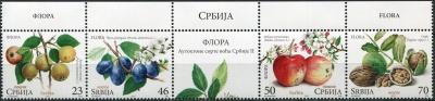 Сербия. 2017. Флора. Местные плоды. K1 (Сцепка. MNH OG)