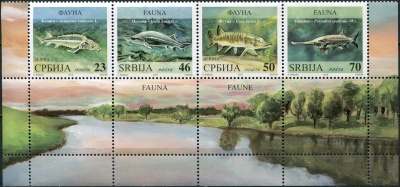 Сербия. 2018. Пресноводные рыбы (Сцепка с оформленными полями. MNH OG)