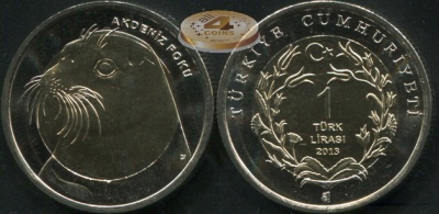 Турция. 1 лира. 2013 (Unc. Биметалл) Белобрюхий тюлень