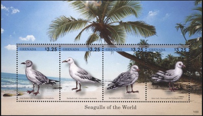 Гренада. 2014. Чайки II (М.Лист. MNH OG)