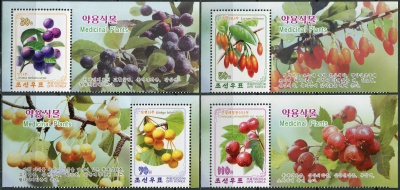 КНДР. 2014. Лекарственные растения (Серия Почтовых марок. MNH OG)
