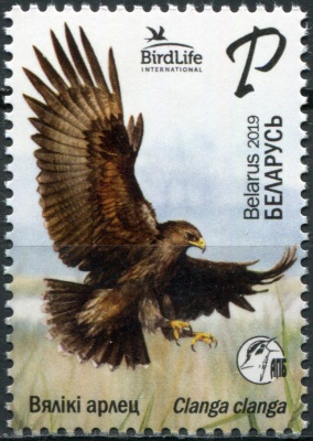 Беларусь. 2019. Большой подорлик (Clanga clanga) (Почтовая марка. MNH OG)