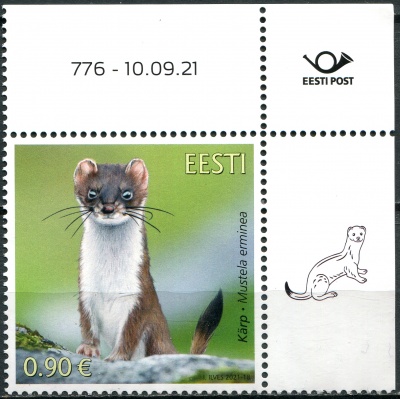 Эстония. 2021. Горностай (Mustela erminea) (I) (Почтовая марка. MNH OG)