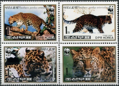 КНДР. 1998. Дальневосточный леопард (Panthera pardus orientalis) (Квартблок. MNH OG)