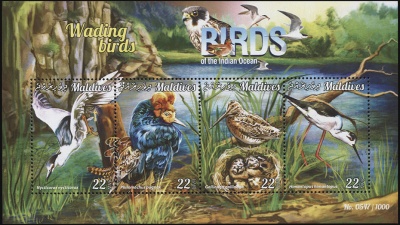 Мальдивы. 2015. Болотные птицы (М.Лист. MNH OG)