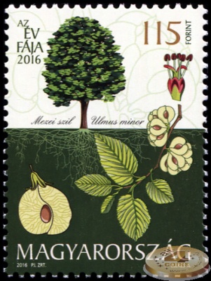 Венгрия. 2016. Вяз малый [Úlmus mínor] (Почтовая марка. MNH OG)