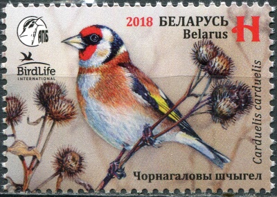 Беларусь. 2018. Черноголовый щегол (Carduelis carduelis) (Почтовая марка. MNH OG)