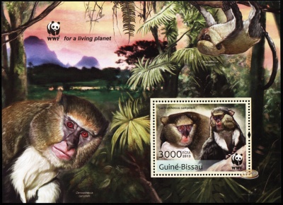 Гвинея-Биссау. 2013. Мартышка Кемпбелла [Cercopithecus campbelli] (Блок. MNH OG)