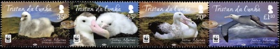 Тристан-да-Кунья. 2013. Тристанский альбатрос [Diomedea dabbenena] (Сцепка. MNH OG)