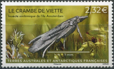 ФЮАТ. 2024. Огнёвка-травянка (Crambus viettellus) (Почтовая марка. MNH OG)