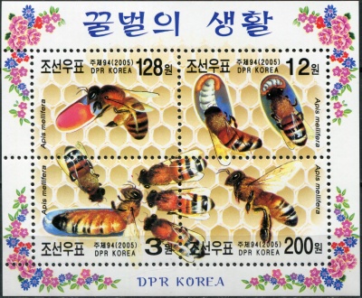 КНДР. 2005. Жизнь медоносной пчелы (Блок. MNH OG)