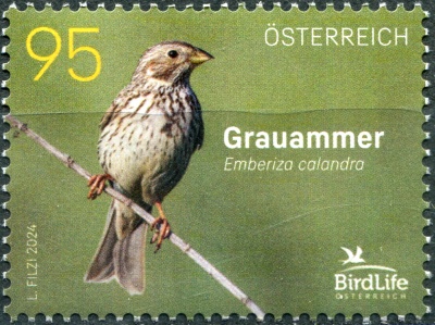 Австрия. 2024. Просянка (Emberiza calandra) (Почтовая марка. MNH OG)