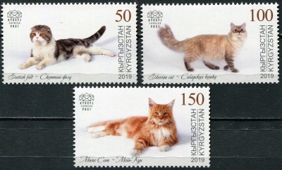 Кыргызстан. 2019. Домашние кошки (Серия. MNH OG)
