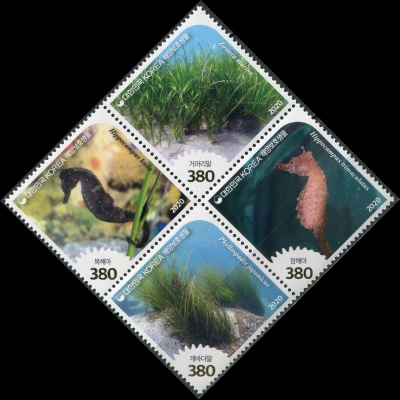 Южная Корея. 2020. Охраняемые виды морских организмов (Квартблок. MNH OG)