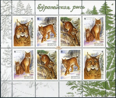 Беларусь. 2000. Европейская рысь (Малый лист. MNH OG)