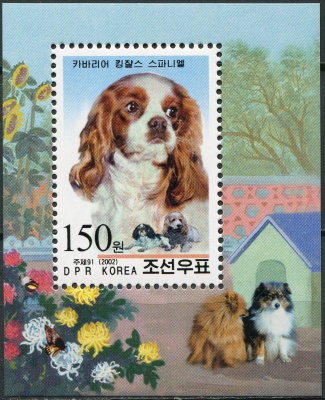 КНДР. 2002. Кавалер кинг чарльз спаниель (Canis lupus familiaris) (Блок. MNH OG)
