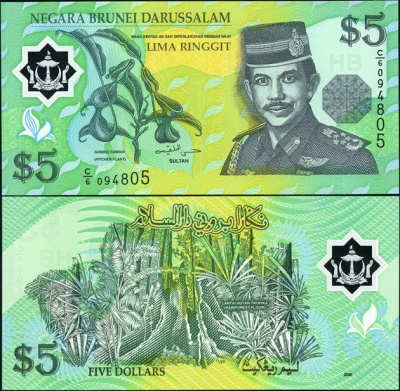Бруней. 5 ринггит (Unc. Пластик) 2002
