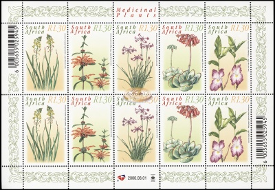 Южная Африка. 2000. Лекарственные растения (Малый лист. MNH OG)