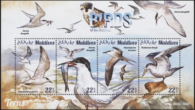 Мальдивы. 2015. Крачковые (М.Лист. MNH OG)