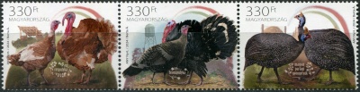 Венгрия. 2024. Породы домашней птицы Венгрии (Сцепка. MNH OG)