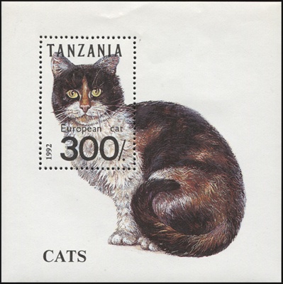 Танзания. 1992. Европейская кошка (Блок. MNH OG)