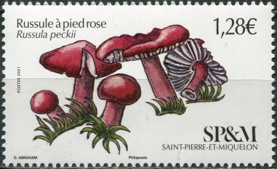 Сен-Пьер и Микелон. 2021. Розовая руссула (Russula peckii) (Почтовая марка. MNH OG)