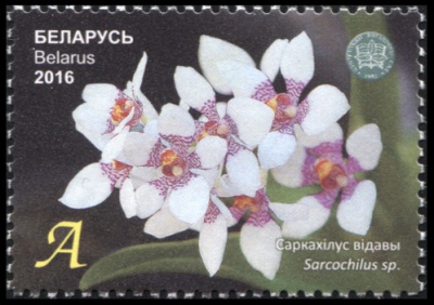 Беларусь. 2016. Саркохилус видовой (Почтовая марка. MNH OG)