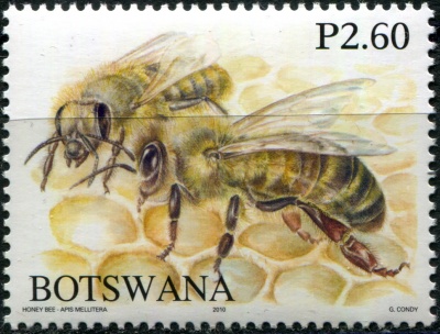 Ботсвана. 2010. Медоносные пчелы Ботсваны (II) (Почтовая марка. MNH OG)