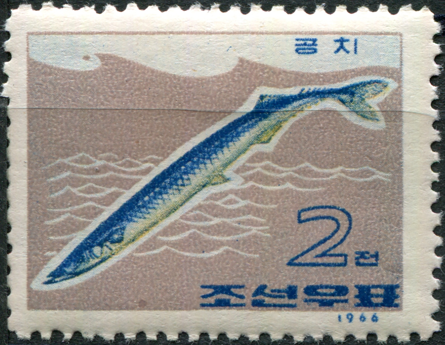 КНДР. 1966. Сайра тихоокеанская (Cololabis saira) (Почтовая марка. MNH OG)