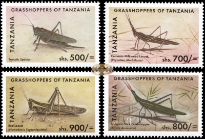 Танзания. 2011. Кузнечики Танзании (Серия. MNH OG)