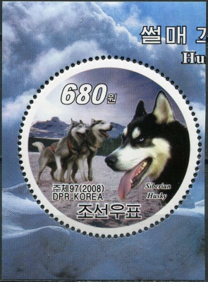 КНДР. 2008. Ездовая собака Сибирский хаски (Почтовая марка. MNH OG)