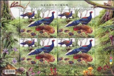 Тайвань. 2014. Фазан Свайно (Малый лист. MNH OG)