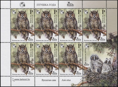 Беларусь. 2015. Ушастая сова (М.Лист. MNH OG)