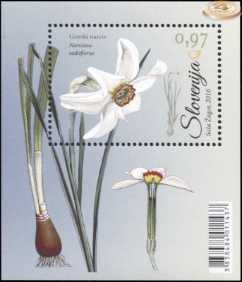 Словения. 2016. Нарцисс (Блок. MNH OG)