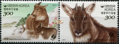 Южная Корея. 2017. Восточный горал (Сцепка. MNH OG)